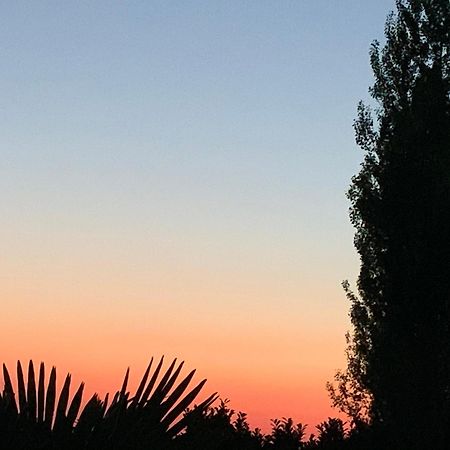 Gite Les Combes Terrasse 01340 Etrez Bresse Vallons Eksteriør bilde