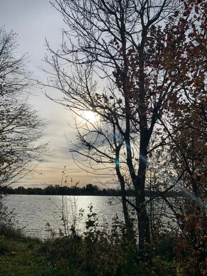 Gite Les Combes Terrasse 01340 Etrez Bresse Vallons Eksteriør bilde