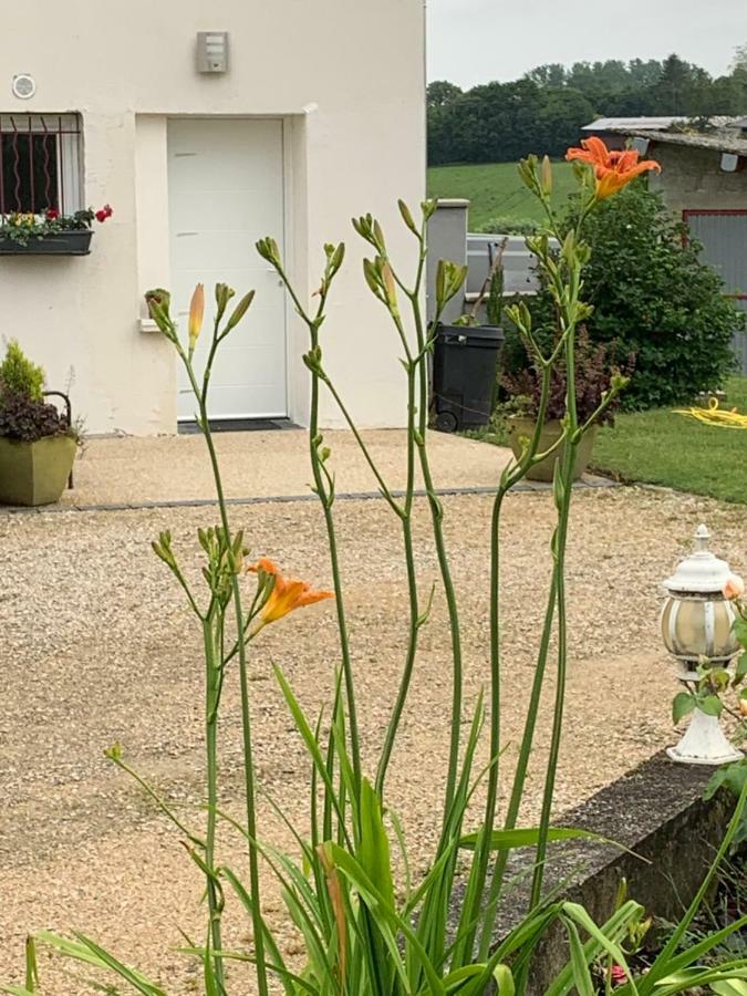 Gite Les Combes Terrasse 01340 Etrez Bresse Vallons Eksteriør bilde